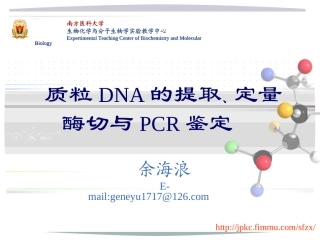质粒DNA的提取与鉴定