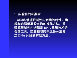 质粒酶切鉴定