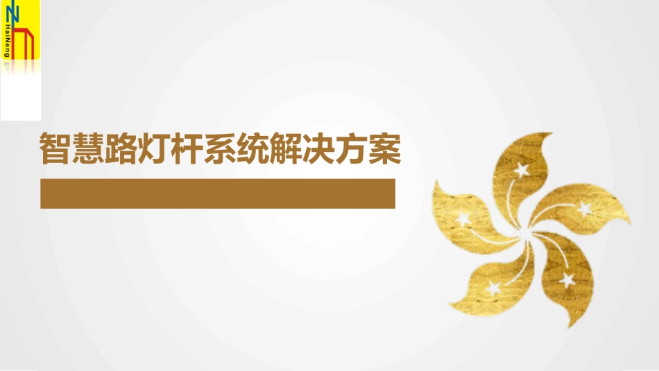 智慧路灯杆系统解决方案介绍_第1页
