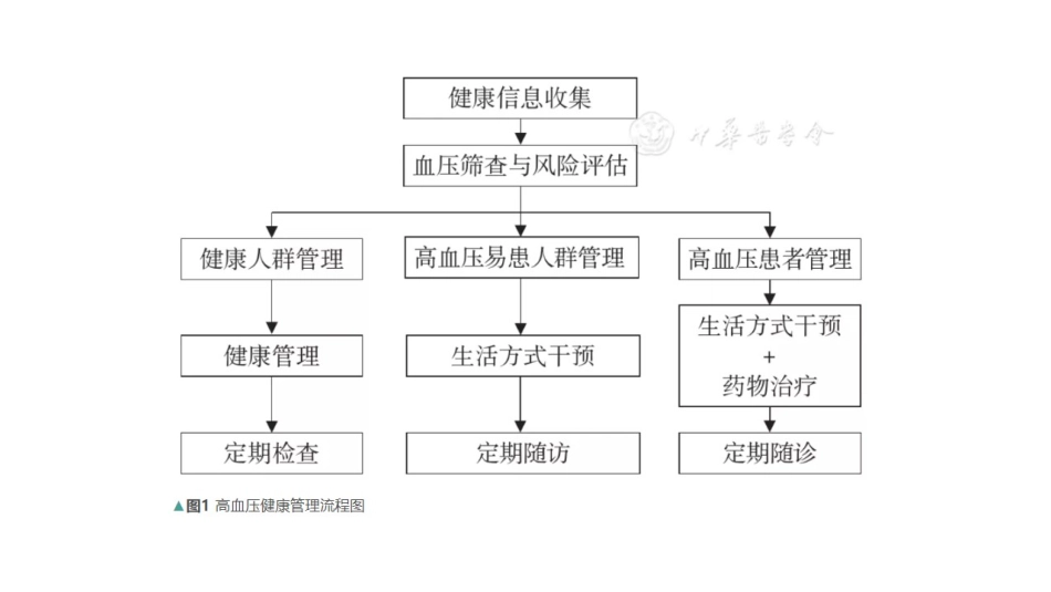 中国高血压健康管理规范_第1页