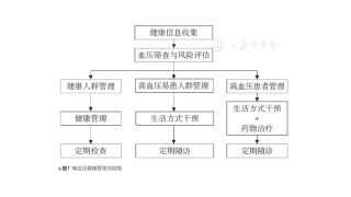 中国高血压健康管理规范