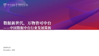 中国数据中台行业发展简析