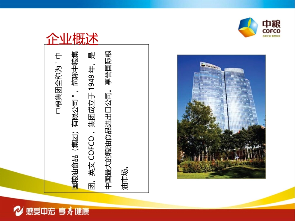 中粮集团及产品介绍_第3页