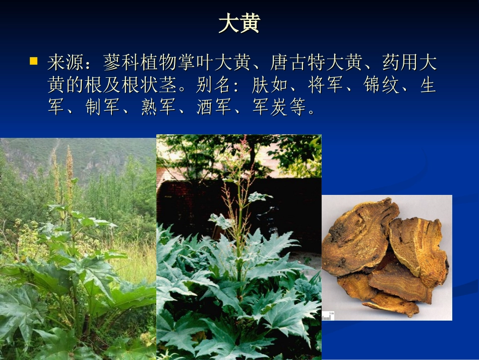 中药学泻下药_第3页