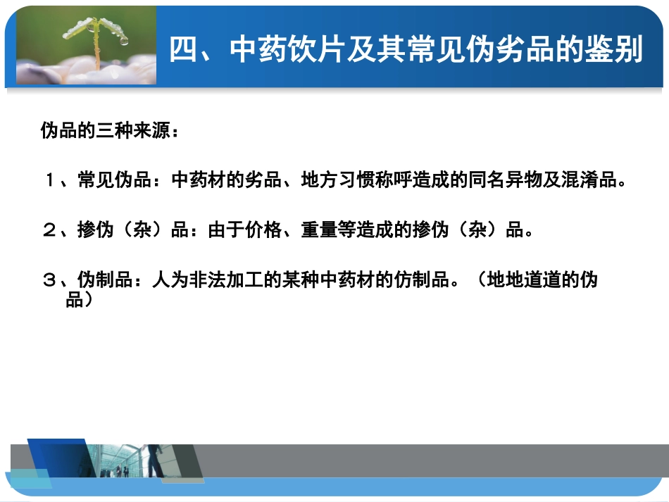 中药饮片的性状及常见真伪鉴别_第2页