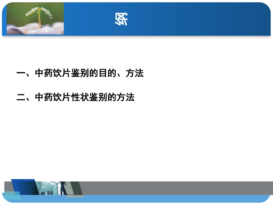 中药饮片的性状鉴别概要_第2页