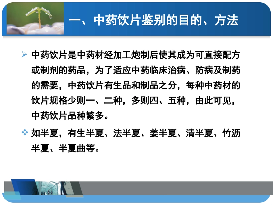 中药饮片的性状鉴别概要_第3页