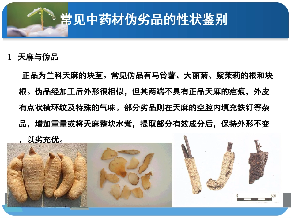 中药饮片的性状鉴别及图片_第3页