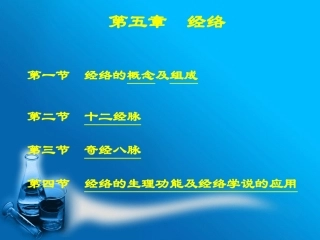 中医基础理论经络学说