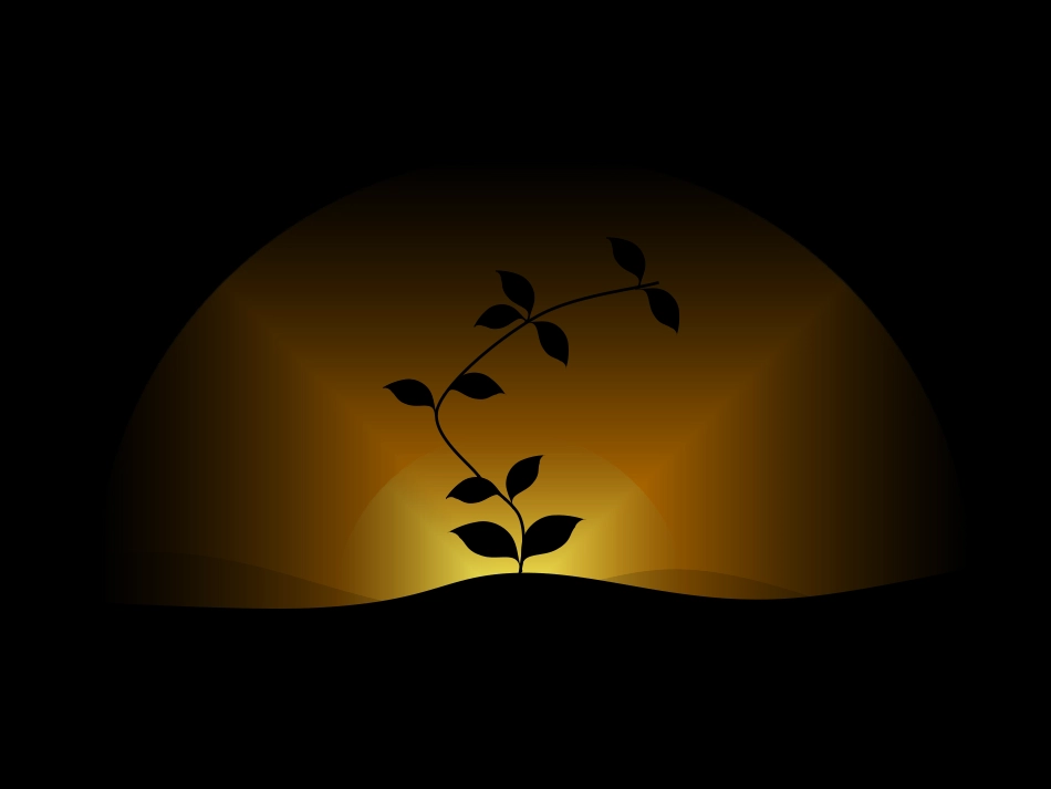 中职成人仪式_第2页