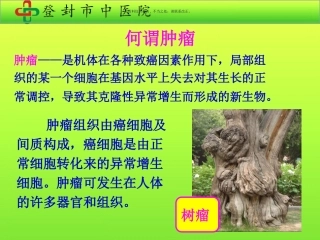 肿瘤的中医治疗