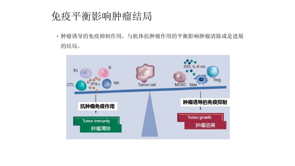 肿瘤免疫治疗_第3页