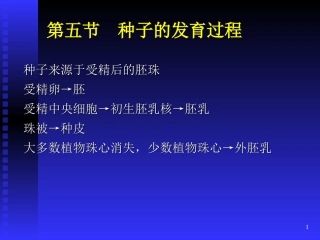 种子的发育过程