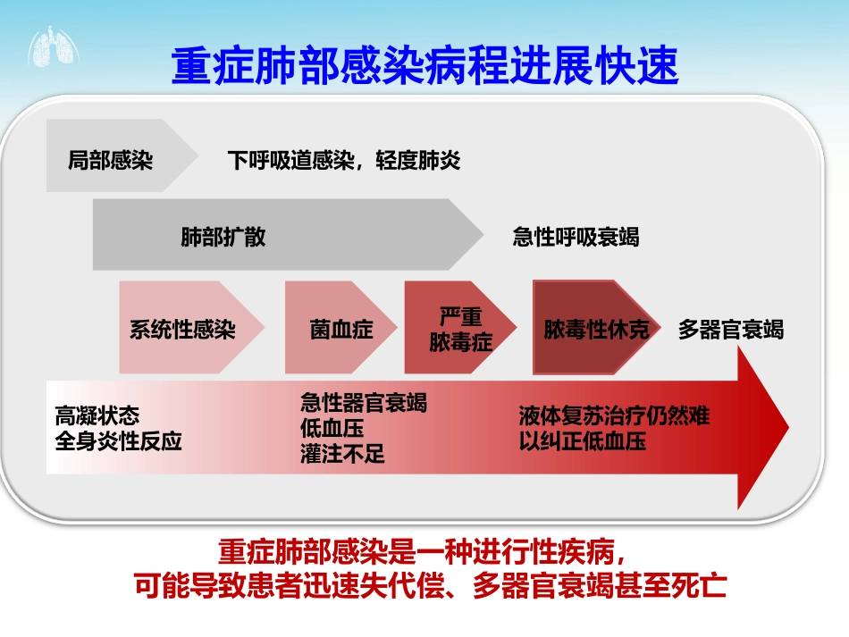 重症呼吸道感染经验性诊疗的始和终_第3页
