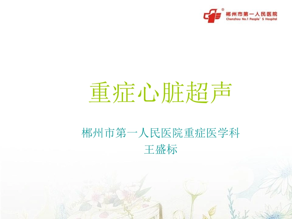 重症心脏超声指南_第1页