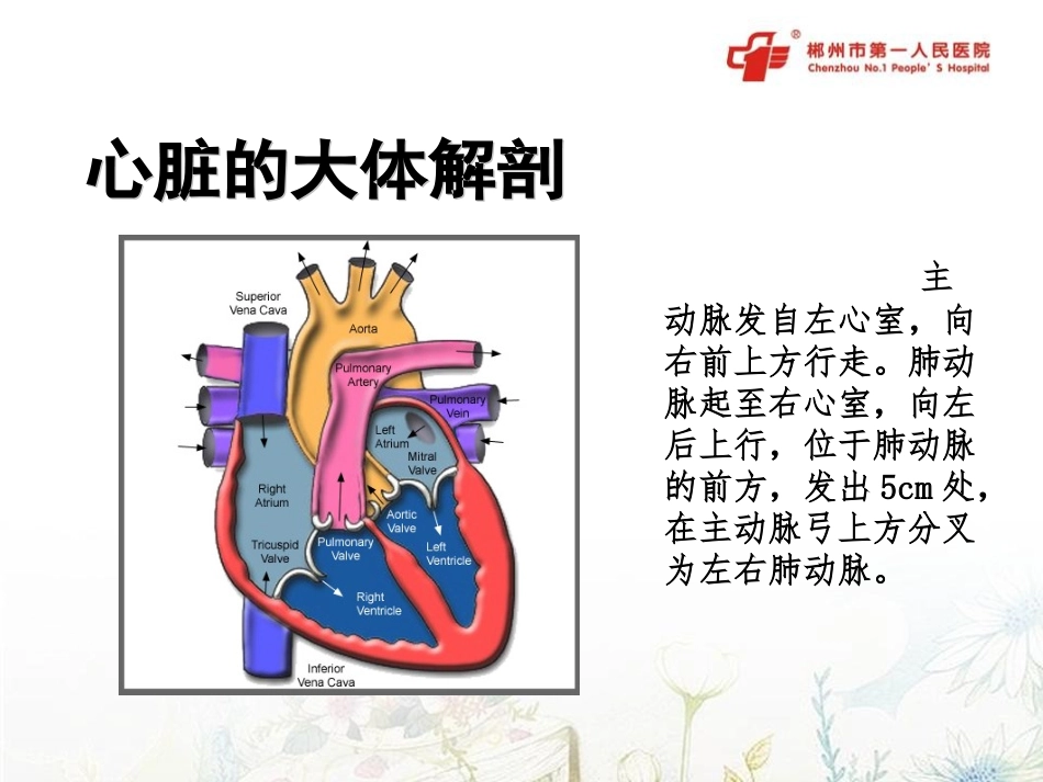 重症心脏超声指南_第2页