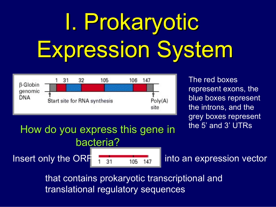 重组蛋白的表达和修饰_第3页