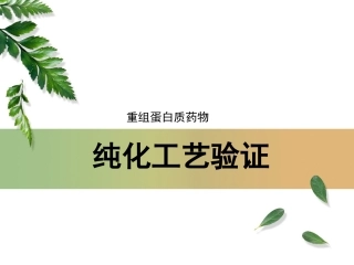 重组蛋白质药物纯化工艺验证