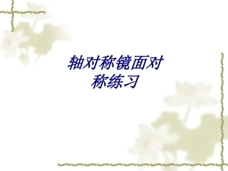 轴对称镜面对称练习课件