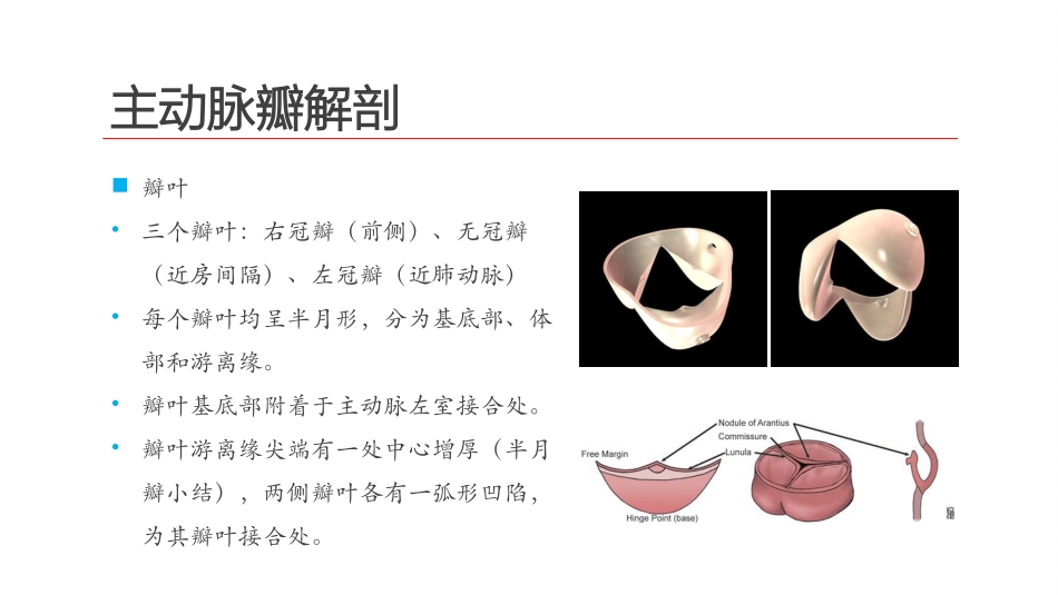 主动脉瓣狭窄及关闭不全的超声诊断_第3页