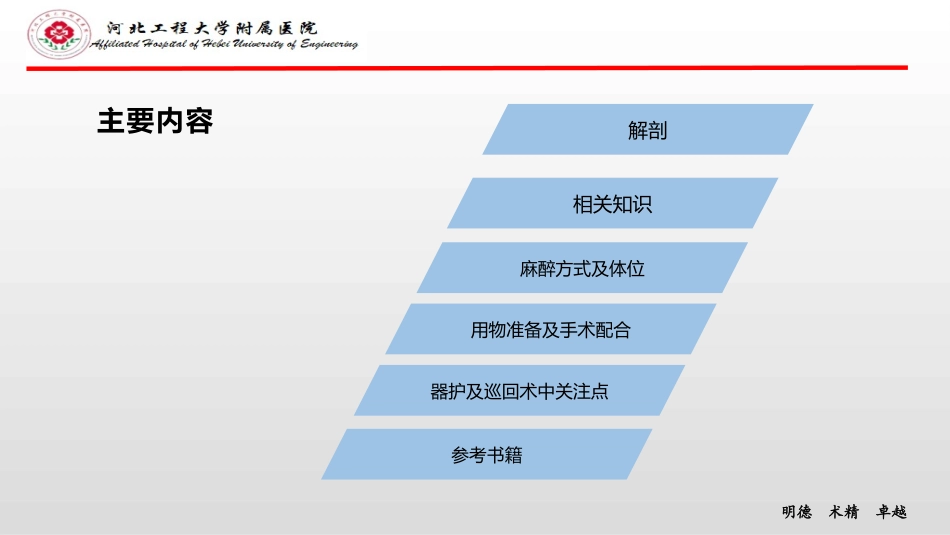 主动脉瓣置换术_第2页