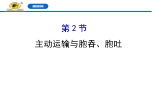 主动运输与胞吞胞吐