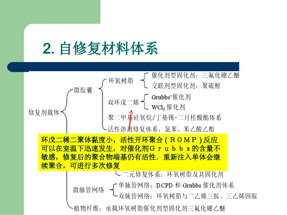 自修复体系介绍_第3页