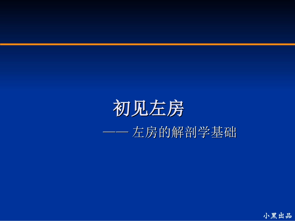 左房解剖学基础_第1页