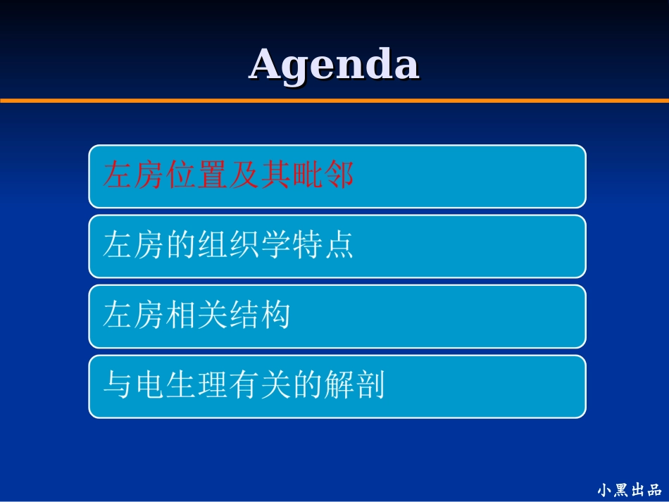 左房解剖学基础_第3页