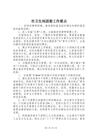 市卫生局团委工作要点