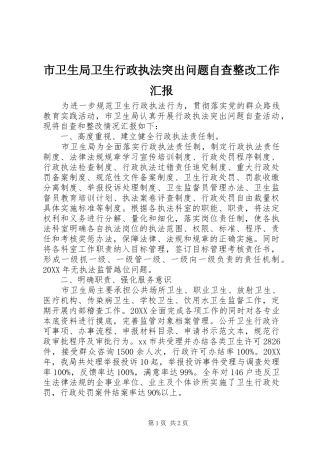 市卫生局卫生行政执法突出问题自查整改工作汇报