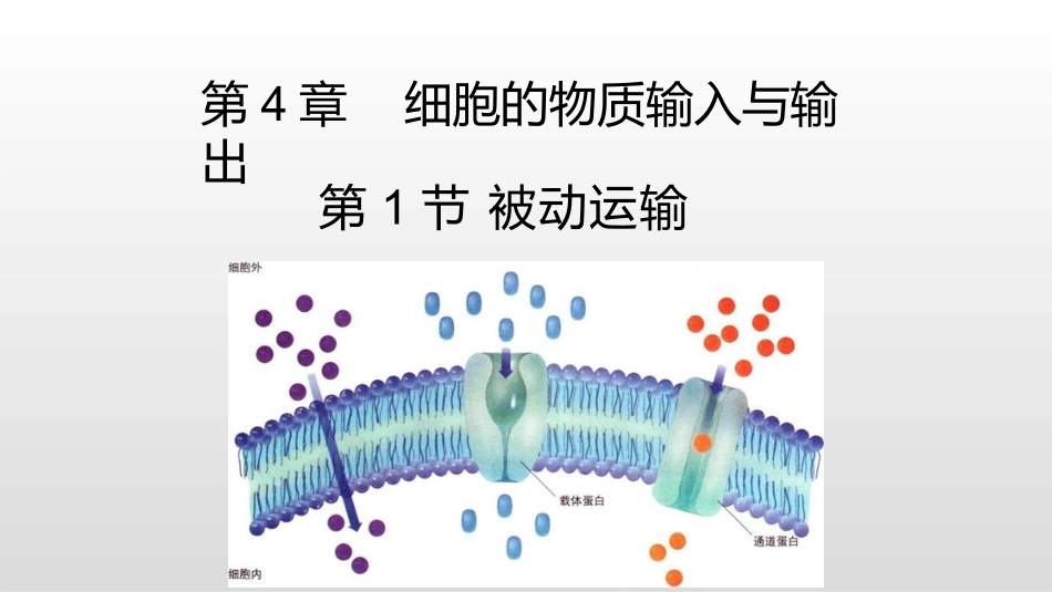 4.1被动运输_第1页