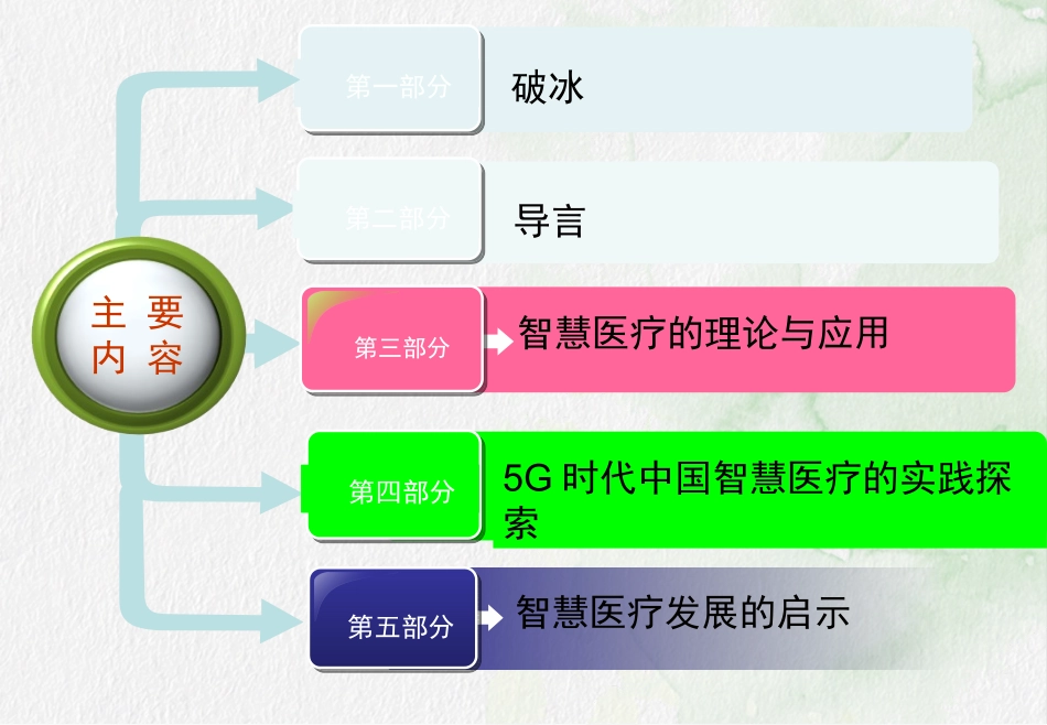 5G时代中国智慧医疗的探索与未来_第2页