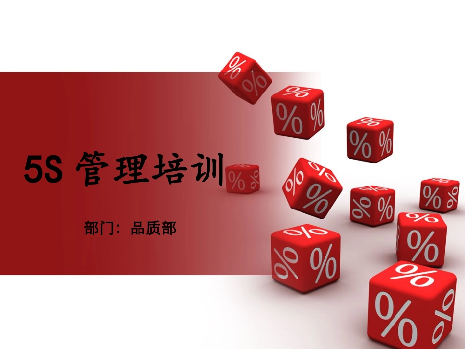 5S管理培训讲义_第1页