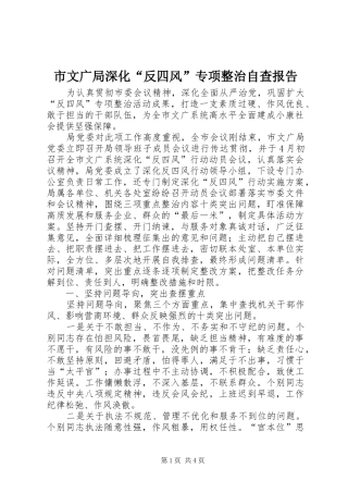 市文广局深化反四风专项整治自查报告