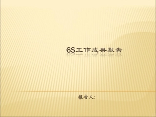 6S成果报告