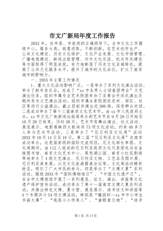 市文广新局年度工作报告