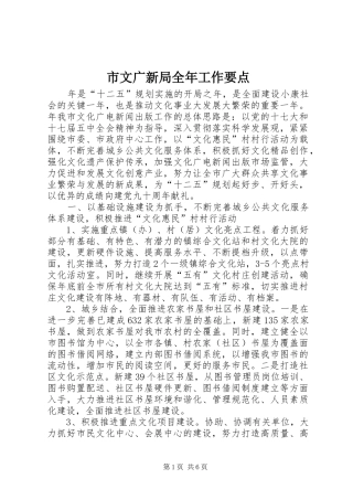 市文广新局全年工作要点