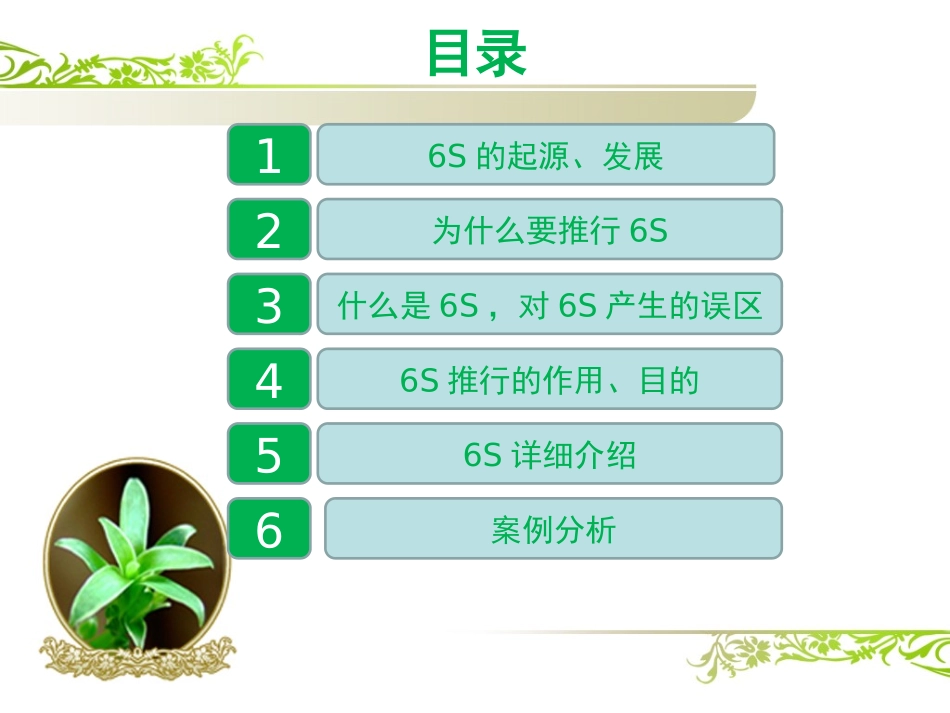 6S培训课件_第3页