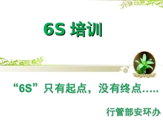 6S培训课件