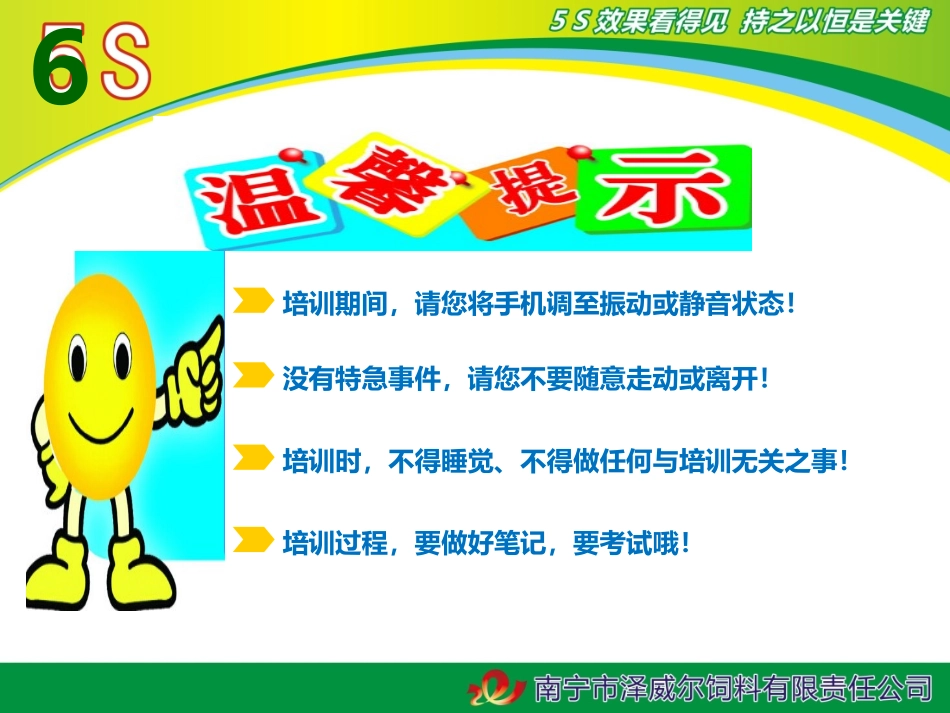 6S培训最新课件_第2页