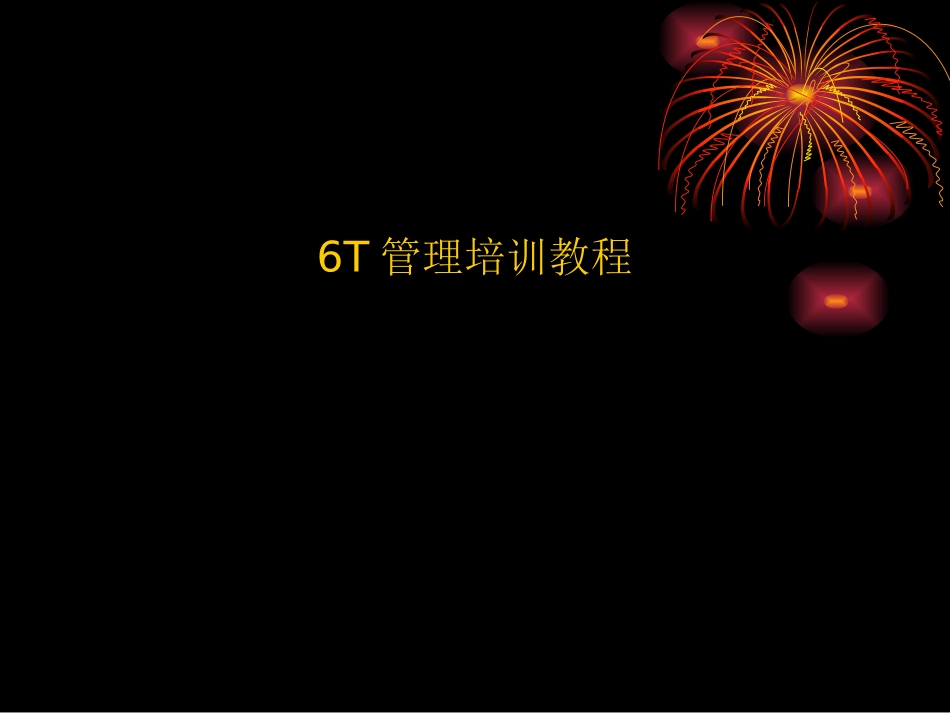 6T管理培训教程_第1页