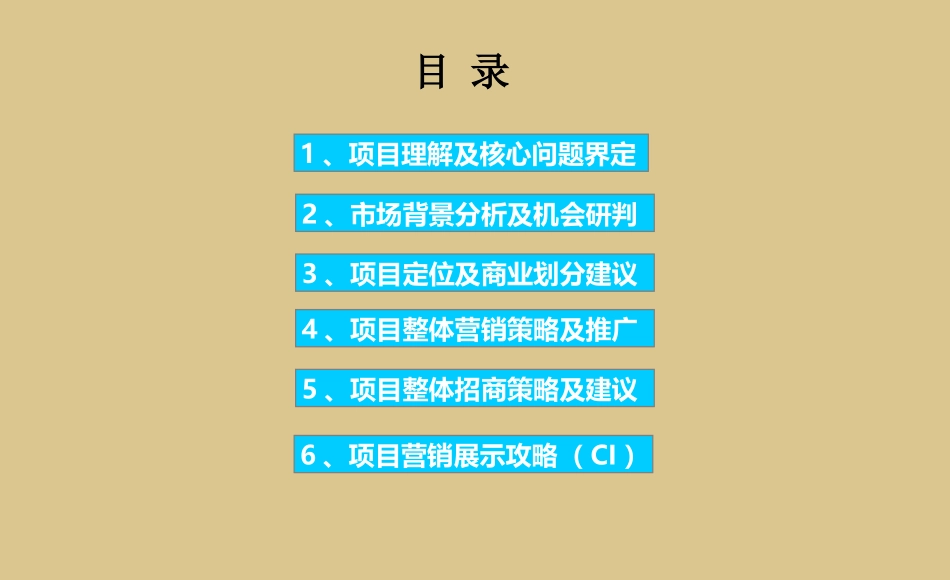 7月28日山东东营广饶汽车城项目营销策划方案_第3页