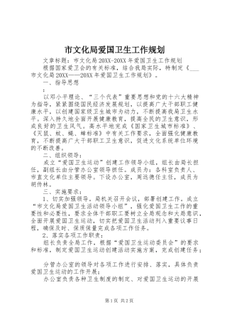 市文化局爱国卫生工作规划