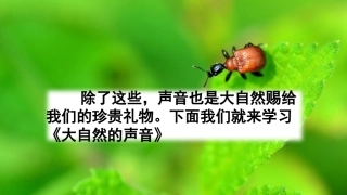 21大自然的声音