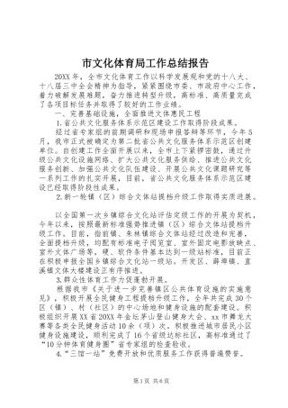 市文化体育局工作总结报告