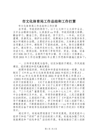 市文化体育局工作总结和工作打算