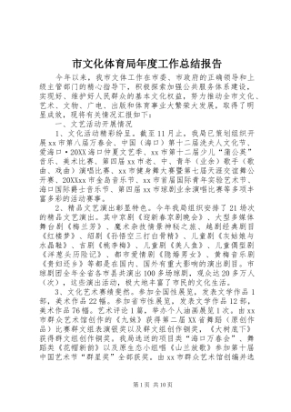 市文化体育局年度工作总结报告