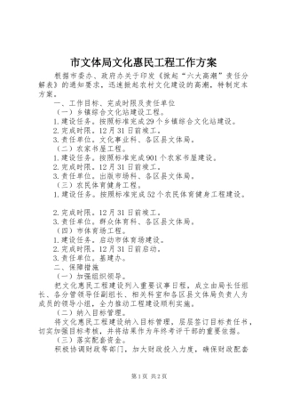 市文体局文化惠民工程工作方案