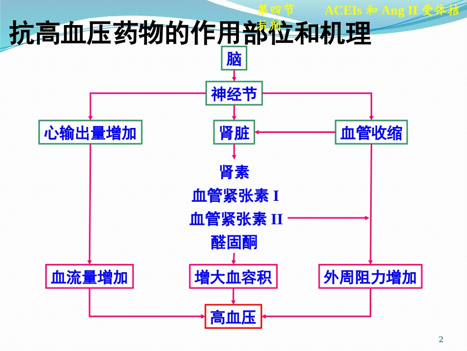 ACEIs和AngⅡ受体拮抗剂_第2页